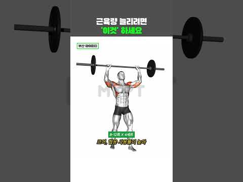 근육량 늘리는 확실한 방법