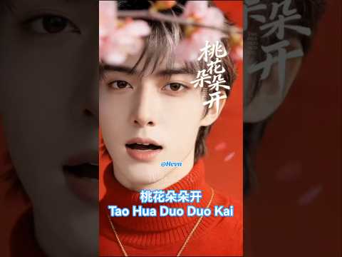 桃花朵朵开 (Tao Hua Duo Duo Kai) Peach Blossoms Bloom