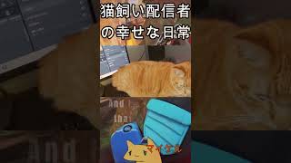 APEXショート　邪魔する猫と幸せな配信者　 #apex #apexlegends #るんるんぱらだいす
