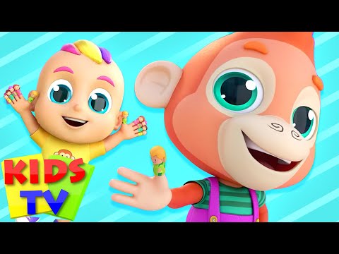 New finger family song - zoobees cartoon - children's music - nursery rhymes and baby song