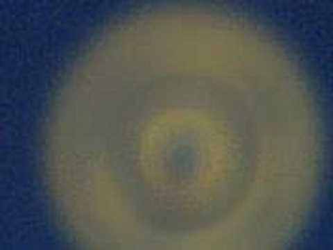 TALL COOL ONE - WAILERS . 45 RECORD