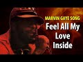 Marvin Gaye Feel All My Love Inside