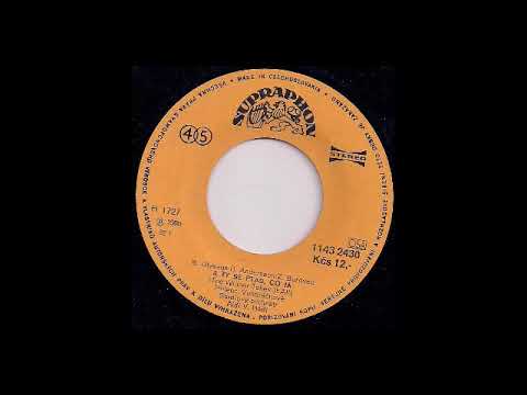 Helena Vondráčková - A ty se ptáš co já