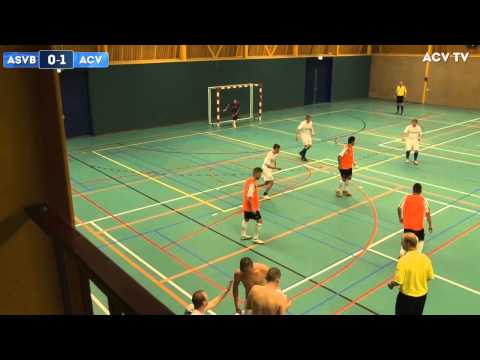 Samenvatting ASVB-ACV