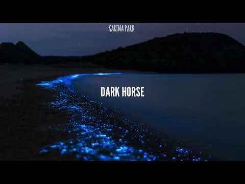 Dark Horse// Katy Perry ft Juicy J (Male Versión ) lyrics