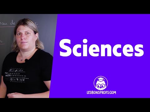 L'océan, un acteur clé du climat