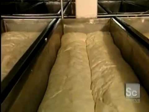 Bread Video