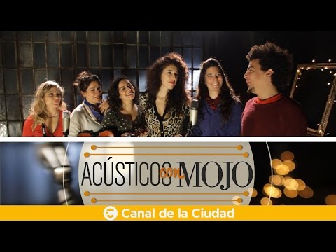 Las Taradas - Bei Mir Bistu Shein - Acústicos con Mojo