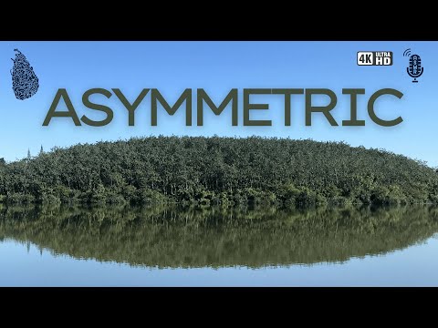 ASYMMETRIC