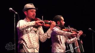 Les Yeux Noirs - Kolo (Live in Sydney) | Moshcam