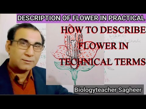 Description of Flower || Practical Exam ||