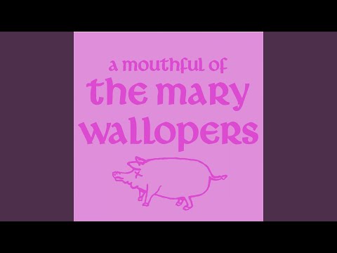 The Mary Wallopers Video