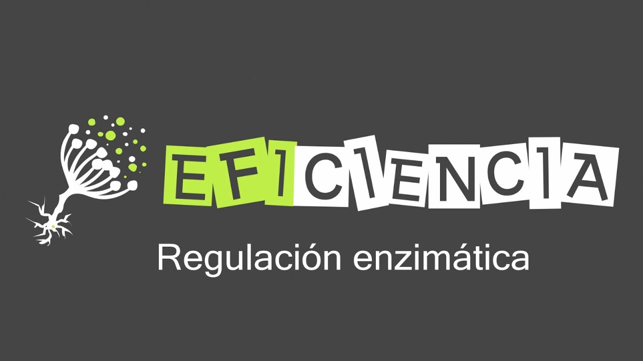 ENZIMAS. REGULACIÓN ENZIMÁTICA Activación Inhibición Alosterismo