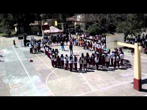 download lagu mp3 mp4 Est 66, download lagu Est 66 gratis, unduh video klip Est 66