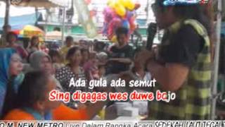 Download lagu New METRO - JAMBU ALAS  -  IIS MONICA & WAWAN PURWADA - TEGAL mp3