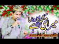 Sabhi Ka Rahnuma Mera Nabi Hai Naat Muhammad Azam Qadri Best Naat 2024 Special Kalam 2024