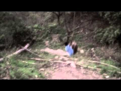 Judaic Project- from YEHUDA HALEVI'S SONGS TO ZION