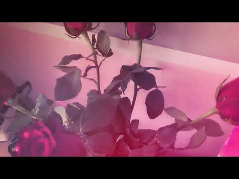 Chill with me (short version) Music: Parra For Cuva: Her Entrance (Original mix)