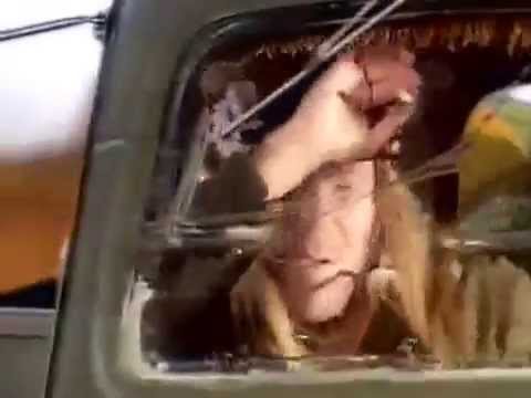 Песенка о шофере