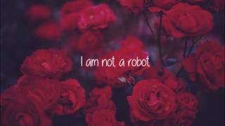 I Am Not A Robot  Marina And The Diamonds  Lyrics