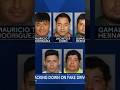 Illegal immigrants deported after driving without license