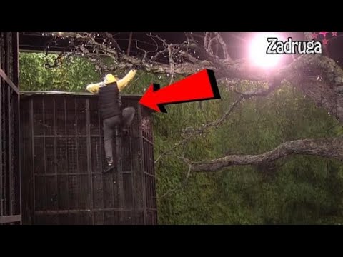 Upravo sad! Bebica POBEGAO IZ Zadruge! Nije smeo na poligraf! Marija i Miljana VRISTE