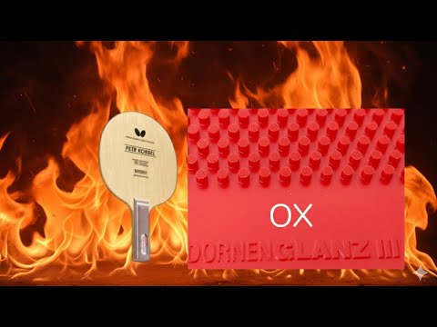 Best Points Long Pimples OX Dornenglanz III improved version by Spinlord | Petr Korbel offensive 🏓 