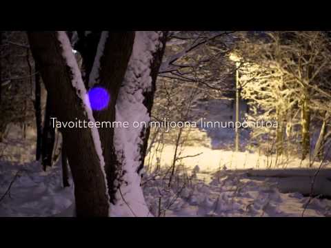 Kolopula! Tule mukaan rakentamaan asuntoja linnuille