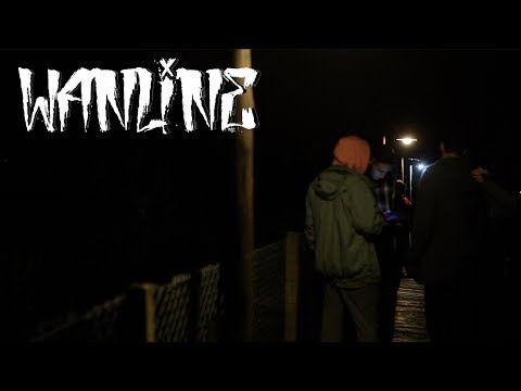 WANLINE and Yaco Levy