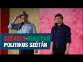Szomszédnéni: Székely-magyar politikus szótár