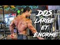 COMMENT AVOIR UN DOS LARGE EN V MALGRÉ UNE HERNIE ? MUSCU OLD SCHOOL A KEY WEST - VLOG 2018