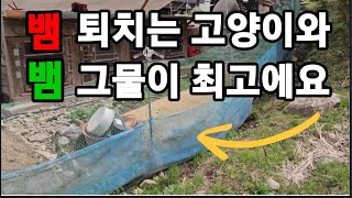 뱀 퇴치"1위 ! 패트병 안에 이걸 넣으면 집주변 얼씬도 못해요! #뱀퇴치 #고라니퇴치 #맷돼지퇴치 #뱀이싫…