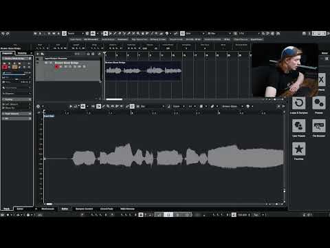 DynAssist    How to use ARA in Cubase (GainAimPro)