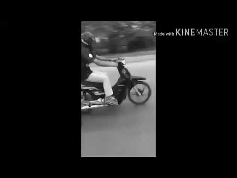 Stev BMC Fly moto .Family STK .