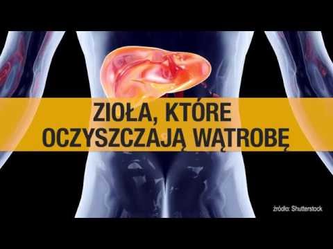 Jak wymiatać rosną mięśnie w domu Kulturystyka kwas nikotynowy