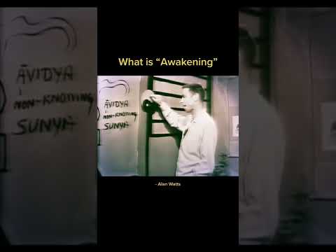 ☯️ Yin Yang - Words from Alan Watts☯️