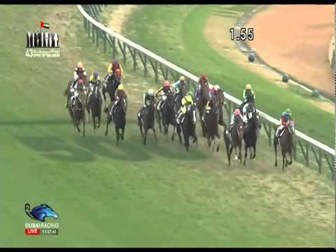 2014.11.30 Japan Cup - Epiphaneia