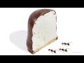 Timelapse Ants vs Marshmallow