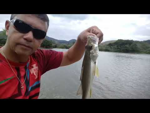 Pescaria de robalo, São Fidélis RJ. (06/05/2024) 1° vídeo