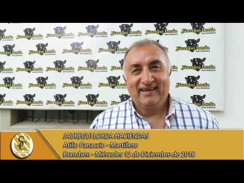 12-12-18 Nota Atilio Panaccio - Martillero - Jauregui Lorda Haciendas - Brandsen