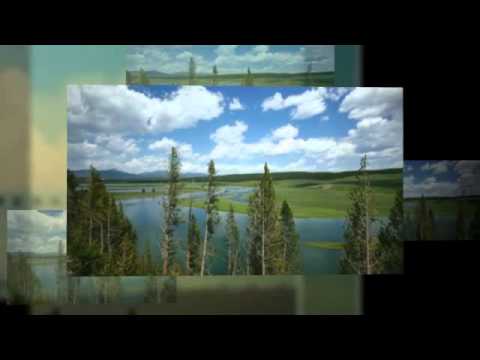 Three Weeks With My Brother book trailer