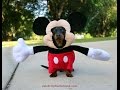 Dog Dressed as Mickey Mouse! 