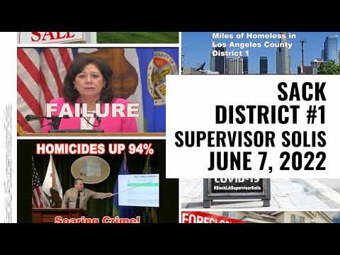LA Supervisor District 1 Hilda Solis 2022 Election Los Angeles County Supervisor District 1 Election