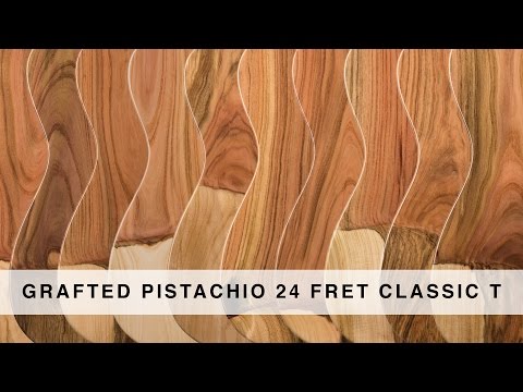 SUHR 2015 COLLECTION - GRAFTED PISTACHIO 24 FRET CLASSIC T