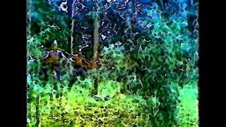 Homeward Bound (aka King Arthur&#39;s Theme From Monty Python And The Holy Grail)