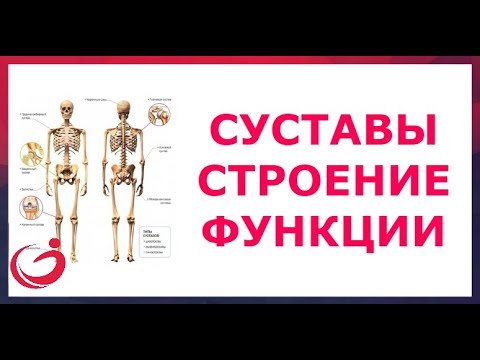 Боль в правом боку живота отдающая в поясницу Боль в правой средней части спины