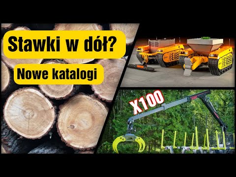 LEŚNE SHORTY #5 || Okiem ZULa