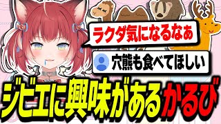 鹿のジャーキーを食べてからジビエに興味があるかるび【赤見かるび切り抜き/夕刻ロベル/藍沢エマ/魔界ノりりむ/夕陽リリ/MadTown GTA】