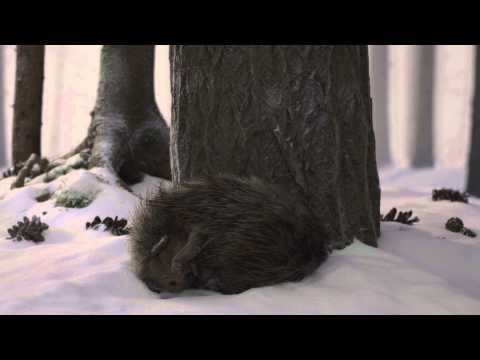 První sníh (First Snow) OFICIÁLNÍ TEASER