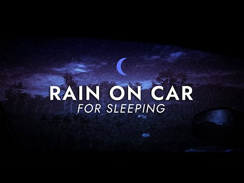 Rain on Driving Car Sounds for Sleeping - Dimmed Screen | Night Rain Sleep Sounds - Beat Insomnia